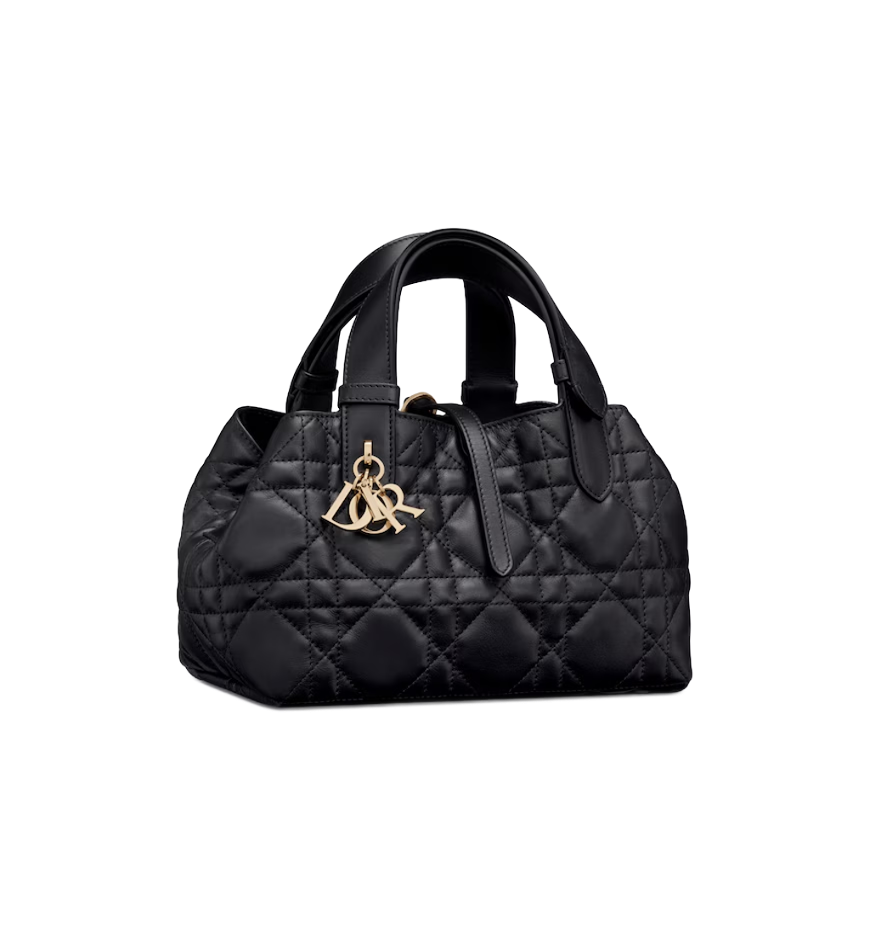 Small Dior Toujours Bag 1 Small Dior Toujours Bag 1