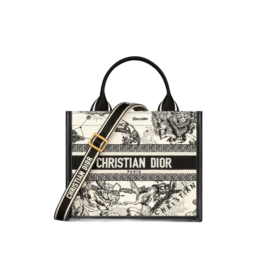 Small Dior Book Tote - M1325CETW_M06E 1 Small Dior Book Tote - M1325CETW_M06E 1