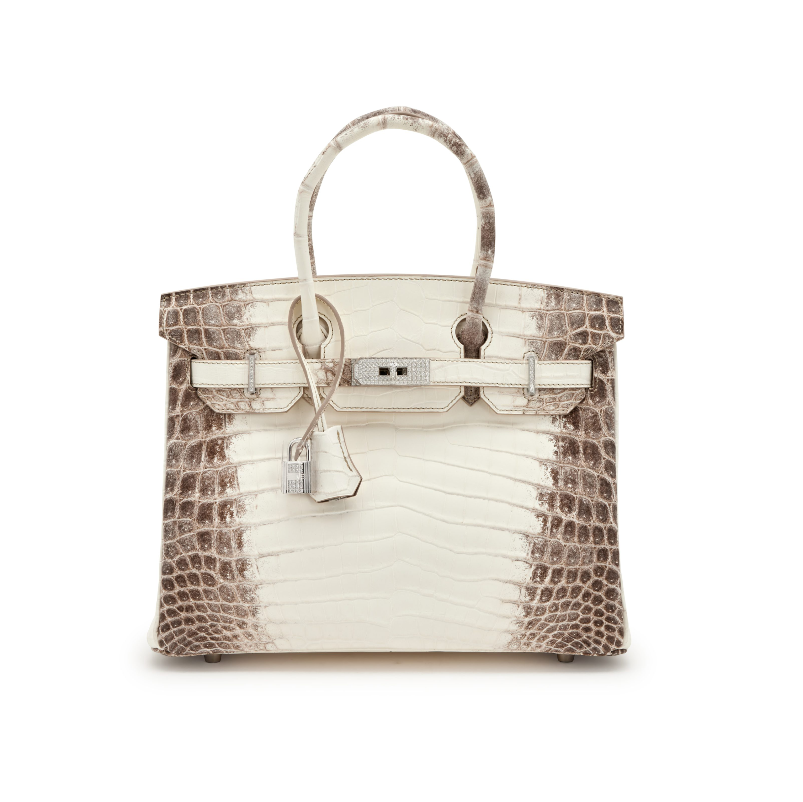 White Matte Crocodile Niloticus Himalaya Birkin 30 1 White Matte Crocodile Niloticus Himalaya Birkin 30 1